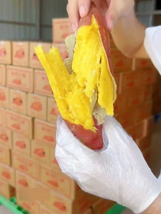 【歌宝鲜生】陕西临潼板栗红薯4.5斤 粉糯香甜 烤地瓜新鲜现挖现发#烤地瓜新鲜现 H