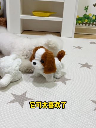 萌趣电动小狗宠物玩具,让毛孩子自嗨解闷! #宠物解闷玩具 #互动发声玩具 #自嗨解闷 #宠物发声玩具 #萌趣玩具