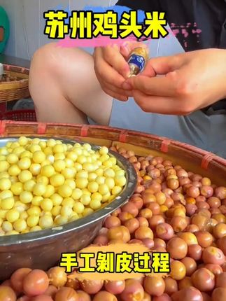 苏州鸡头米芡实#苏州鸡头米芡 #苏州鸡头米芡实 #优质农产品 #新农人计划 #