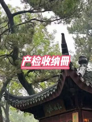 便携产检收纳册 #孕妇必备 #活页设计 #证件整理