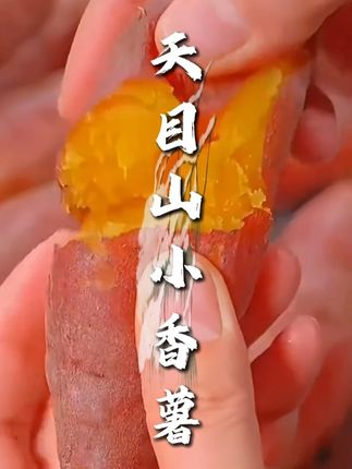 吃一次就会爱上的天目山小香薯,它皮薄无茎, 糯叽叽的,吃起来软糯香甜!当作早餐很不错#红薯