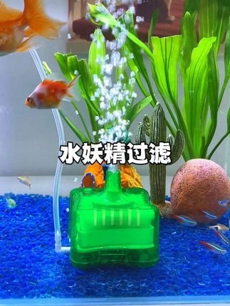 这个小东西就是鱼缸的深水炸弹#养鱼 #养鱼日常 #水妖精