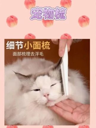 宠物密齿梳猫狗嘴毛排梳清理面部梳子 #萌宠好物 #种草 #推荐