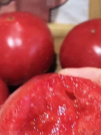 Y沙瓤西红柿自然熟番茄酸甜多汁产地直销应季生鲜水果新鲜蔬菜