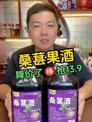 #桑葚酒 #果酒 #微醺