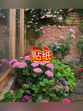 儿童创意贴纸我的新朋友五官手工DIY玩具幼儿园专注力动手能力#贴纸 #贴纸推荐 #玩具 #儿童玩具 #创意贴纸