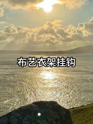 便携折叠布艺衣架 挂钩小夹子内衣袜子旅行酒店出差旅游神器晾衣架#晾衣夹子 #便携式晾晒夹 #出差旅行必备 #携带方便