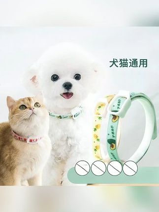 狗狗项圈香茅精油安全猫咪颈圈幼猫脖圈宠物脖圈中小型犬小猫项圈 #萌宠好物 #宠物驱虫项圈 #狗狗驱虫项圈