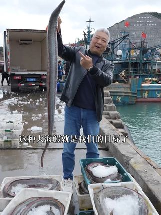 来码头收白鳗,给大家科普为什么这个鳗鱼做的鱼丸那么好吃 #鳗鱼丸 #上青杰哥 #赶海