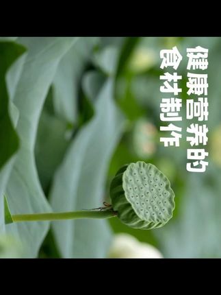 蔬菜脆去芯莲子清香不苦香醇回味网红零食健康营养#莲子 #莲子脆 #营养健康 #蔬菜脆 #好吃不贵