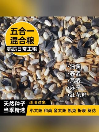 五合一混合鹦鹉鸟粮小太阳和尚金太阳凯克中大型带壳种子饲料鸟食#鹦鹉鸟粮 #五合一鸟粮 #带壳种子饲料 #鹦鹉食品 #鸟粮推荐