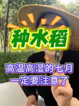 #水稻种植 ##三农 #水稻管理 #水稻一喷就防