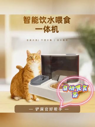 有了它就不怕小猫在家挨饿了 #记录猫咪日常 #萌宠好物 #喂食器