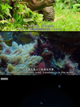过滤网