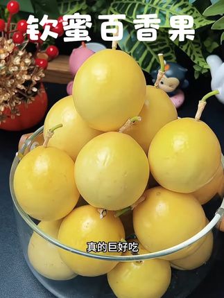 百香果 一口闷在嘴里爆汁,好爽呀 #百香果 #新鲜采摘