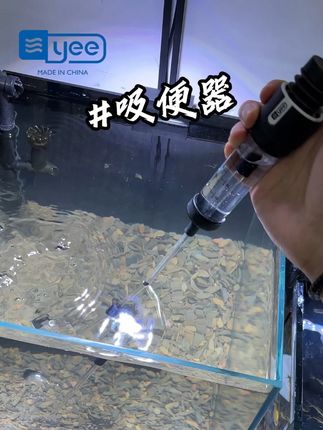今天给大家推荐一款吸便器 #水族 #鱼缸 #造景 #空气缸 #养鱼