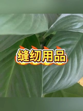 磁吸针线盒41件套 缝纫工具收纳套装 #手工DIY #缝纫工具 #针线盒 #居家必备 #收纳神器