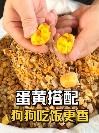 40斤大包装狗粮,给您意想不到的营养! #狗粮推荐 #冻干 #粒粒精选颗颗饱满 #性价比 #源头工厂