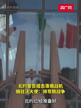 北约警告或击落俄战机 俄驻法大使:将导致俄与北约之间的战争