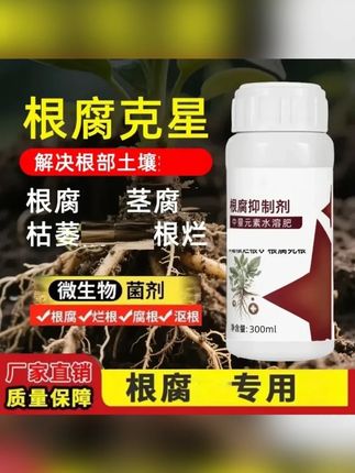 果树根腐黄叶干尖黑根,根腐抑制剂一定要看看
