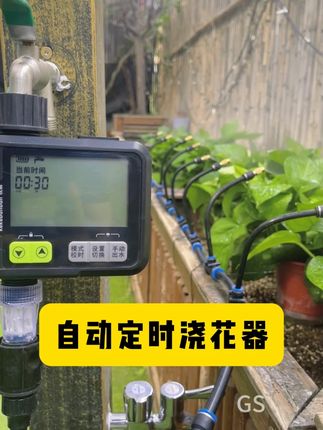 夏天出门避暑就用定时浇花器给植物浇水吧#定时浇花器 #自动浇水器 #雾化喷头 #浇花器 #浇花神器