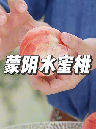 蒙阴水蜜桃新鲜现摘鲜甜多汁当季应季脆桃水果秋桃 #水果 #应季水果 #水蜜桃 #桃子 #好物推荐 @DOU+小助手 @DOU+好生意 @DOU+上热门