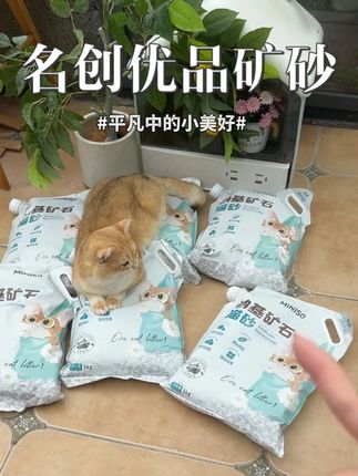 要早点知道名创优品猫砂结团这么顶,就不用去宠物店挨宰了 #萌宠好物 #科学养宠攻略 #高性价比猫砂推荐 #养猫新手