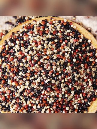 郝邵文推荐        野三坡三色藜麦黎麦藜麦米粥饭营养减代餐饱满颗粒 #三色藜麦  #藜麦米粥  #营养减代餐  #饱满藜麦颗粒  #藜麦饭食材