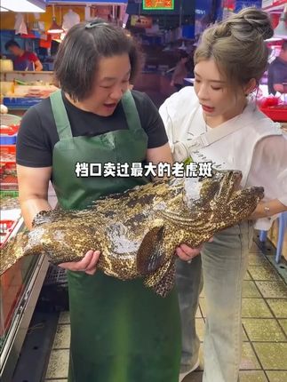 从来都没有的价格!99到手16盒杨枝甘露花胶羹,支持一盒免费试吃,清脆爽口 不腻不腥,满满的胶原蛋白,开盖即食,0添加0防腐剂,老人小孩都能吃#即食花胶 #杨枝甘露 #海鲜美食 #抖音美食推荐官 #嘉之派