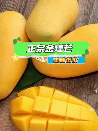#金煌芒#海南金煌芒#优质农产品#新鲜水果#快来一起尝个鲜