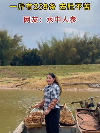 渔民自家小土货,无骨无刺去肚不苦,没有泥沙,下饭下酒炒菜炖汤煮火锅,开胃又好吃,万绿湖客家风味#泥鳅干 #优质农产品 #妈呀太香了 #泥鳅
