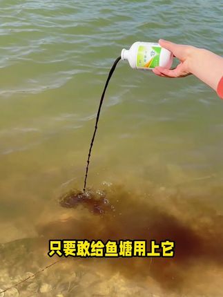 #水产养殖 #鱼虾蟹养殖 #四大家鱼养殖 #水产人 #好物推荐