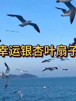 好喜欢朋友送的幸运扇#银杏叶#扇子#日常分享#无限回购的宝藏单品#在抖音入手的好东西