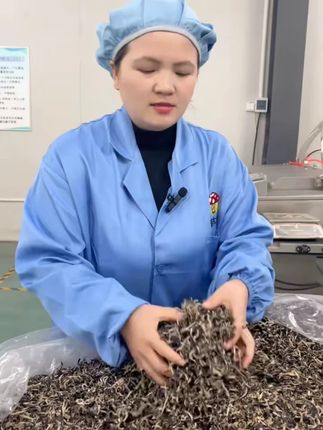 头茬木耳丝干货精品白背毛木耳丝干木耳丝螺蛳粉专用免切黑木耳丝#头茬木耳丝 #干货木耳丝 #螺蛳粉专用 #白背毛木耳 #免切木耳丝