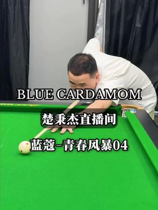 楚秉杰推荐 蓝蔻风暴04 #楚秉杰 #你今天打台球了吗 #台球杆 #台球是一种生活 #杆法