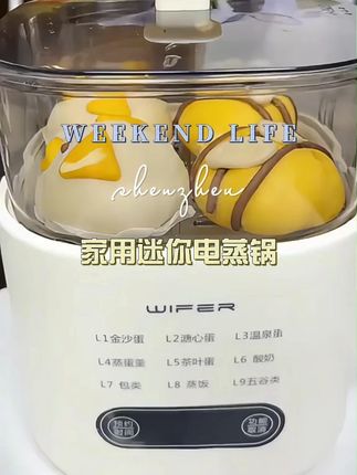 wifer/英国多功能蒸蛋煮蛋器预约早餐神器家用迷你电蒸锅自动断电