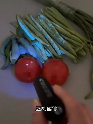 果蔬检查紫光灯鉴定波尔多荧光剂紫外线残留检测笔#无限回购的宝藏单品 #男士神仙单品 #在抖音入手的好东西