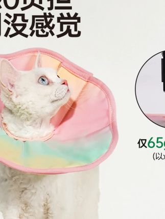 Touchdog/它它幻彩系列伊丽莎白圈宠物猫狗防舔脖圈绝育项圈头套#宠物用品 #伊丽莎白圈 #猫狗防舔 #Touchdog #宠物绝育