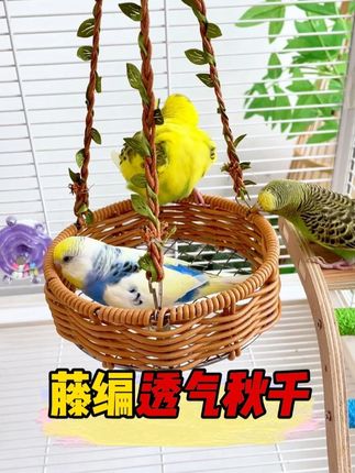 夏天给鹦鹉准备找个藤编秋千,鹦鹉玩耍休息清凉透气,好看又好玩#鹦鹉秋千