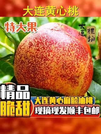 大连油桃黄心油桃麻脸油桃油桃顺丰包邮桃子5斤新鲜饱满肉厚皮薄 #我爱吃水果 #谁懂这一口的好吃程度 #夏天该有的样子 #口感特别好 #新鲜应季水果