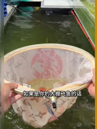贾东#贾东 普新款碳素抄网头网兜轻渔网捞鱼抄网防挂鲤鱼网头钓鱼用具#抄网