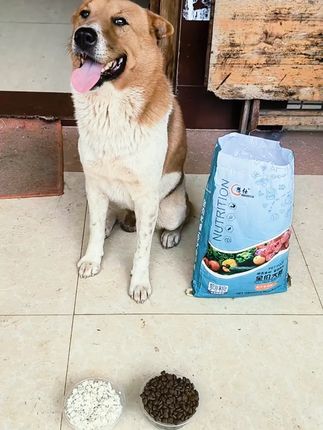 土狗通用狗粮5斤10斤20斤柴犬田园犬小鹿犬成犬幼犬通用型狗粮#土狗狗粮 #通用狗粮 #柴犬狗粮 #幼犬成犬粮 #宠物食品