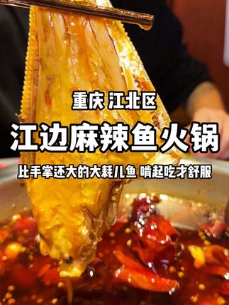 又是被鱼火锅征服的一天,解锁大耗儿鱼! #寻味烟火气 #好好吃饭大赛 #一个人在家也要好好吃饭  #鱼火锅 #重庆美食 @抖音小助手 @DOU+小助手