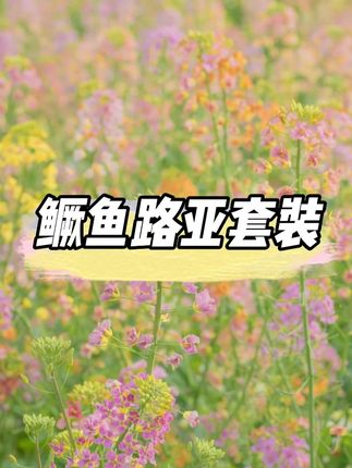 一口闷实心辣子鸡半截棍铅笔,6066三本钩 #路亚野钓 #微物路亚 #辣子鸡路亚饵