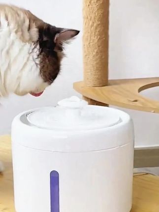猫咪爱喝流动活水,这饮水机还带过滤浮毛杂质,再也不用天天换水了#宠物饮水机#养猫好物 #猫喝水的好处 #萌宠好物