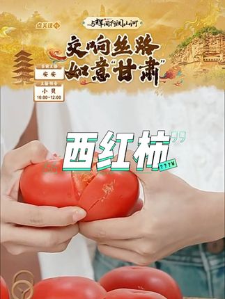 甘肃沙漠老品种自然沙瓤西红柿产品#西红柿 #番茄 #水果 #沙漠西红柿 #自然沙瓤西红柿