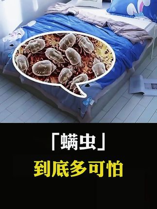 #涨知识  #国庆假期  #螨虫的危害  #除螨包 #3R1B