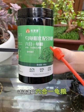 闻一闻,蠢蠢欲动;尝一尝,大快朵颐#龟粮 #龟粮推荐