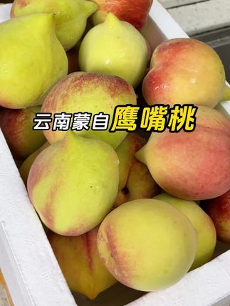 鹰嘴桃的快乐谁懂?! 简直是我的梦中情桃😭!外表绿绿的云南高山⛰️鹰嘴桃!果肉饱满多汁,果香浓郁!又脆又甜超级好吃,水分超足,脆桃党一口沦陷😭!好吃到停不下来!#鹰嘴桃 #桃子超甜 #脆桃党 #新鲜采摘