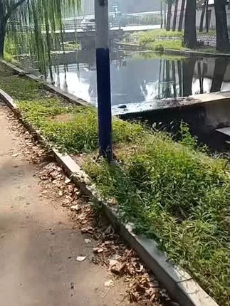 一次性枕头套酒店出差必备用品火车卧铺便携旅行隔脏枕头保护套#保护套#枕头套#一次性保护套#酒店保护套#枕头保护套